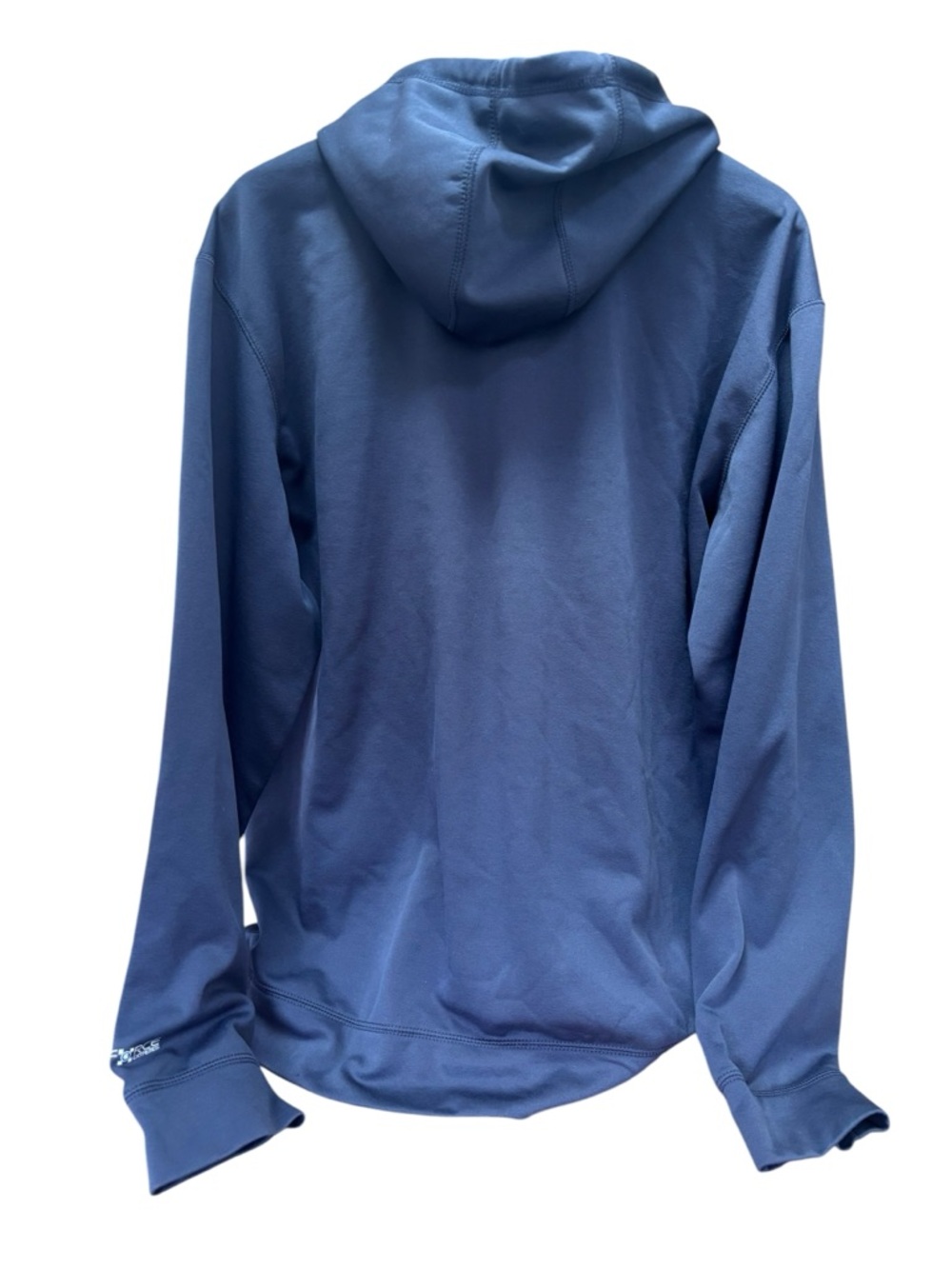 Carhartt Blue Relaxed Fit Hooded Sweatshirt with Teal Logo Men’s XL - Picture 2 of 7